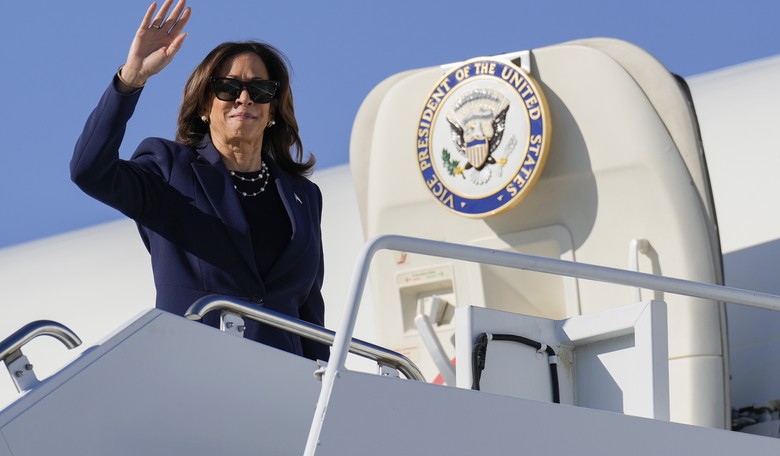 Harris' Approach: Only Blacks Get Government Help