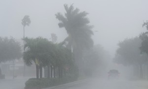Hurricanes: They Aren't for Introverts 