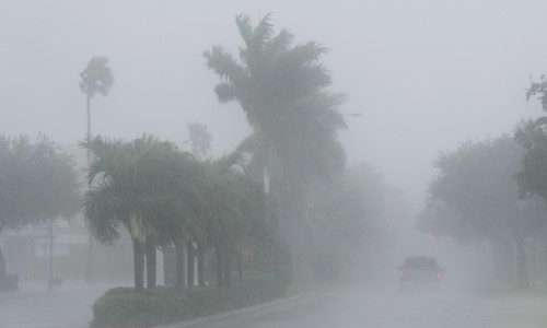 Hurricanes: They Aren't for Introverts 