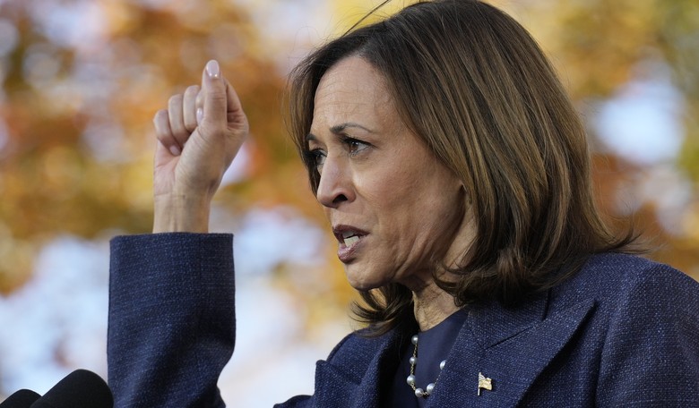 Stunning Contrast: Watch How Kamala Harris Deals With Anti-Israel Agitator Interrupting Her Remarks