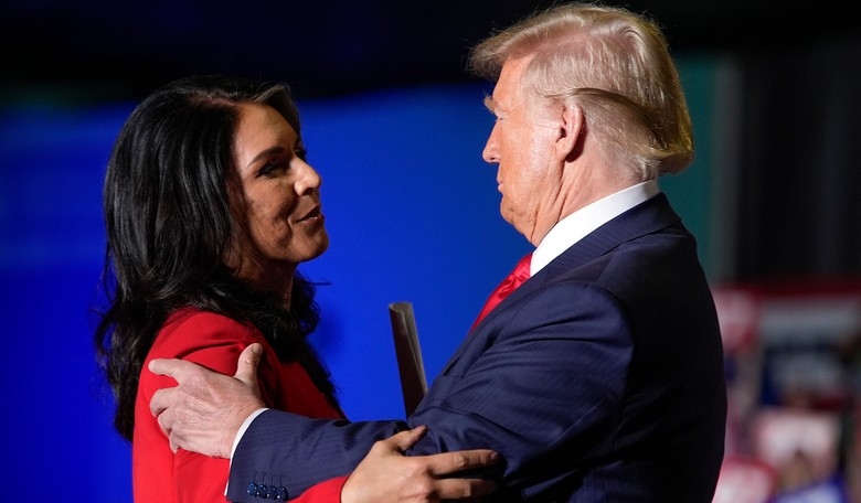 Tulsi Gabbard Nabs Plum National Security Position in Second Trump Administration