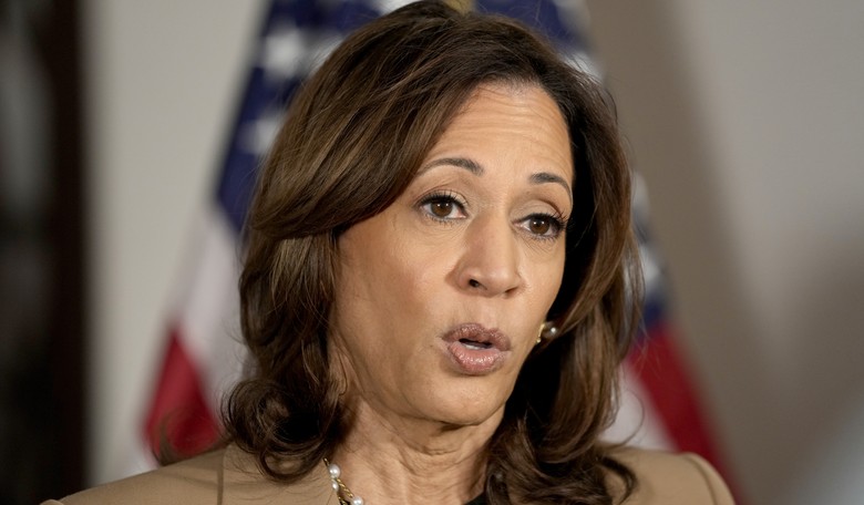 House Speaker Mike Johnson: 'Fed Up Americans' Ready to Blame Kamala Harris on November 5th