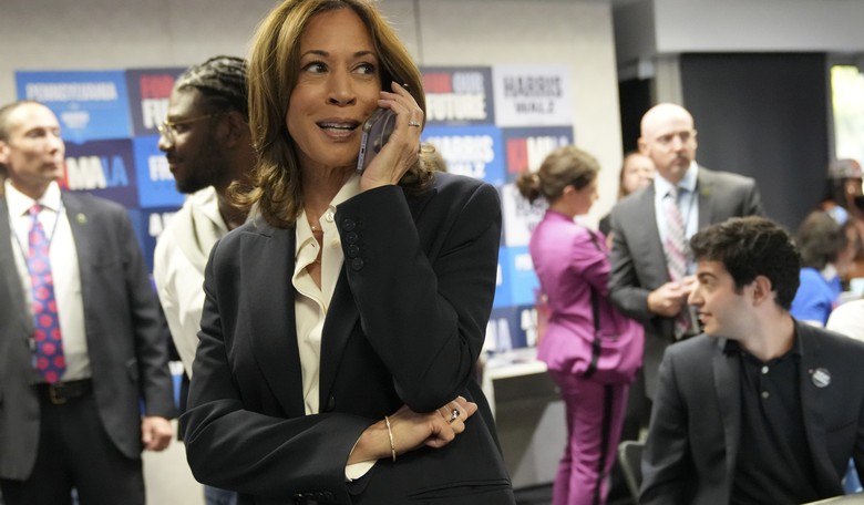 Libs Still Think Kamala Will Win. Here's the Latest Conspiracy Theory.