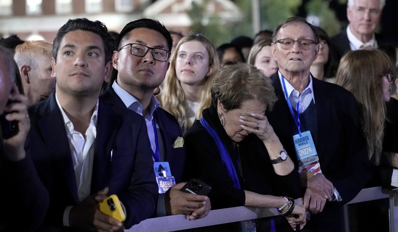 Dem Strategist Explains How Her Party Got Brutalized in 2024