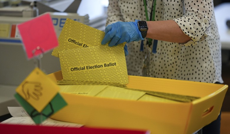California Proves Mail-In Voting Is Doggone Crazy