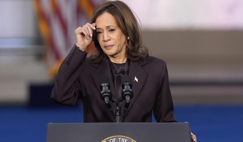 Dem Strategist: A 'Household Name' Isn't Giving to the DNC Anymore Because of the Kamala Debacle
