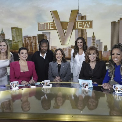 Did Ana Navarro Just Engage in Electioneering on The View?