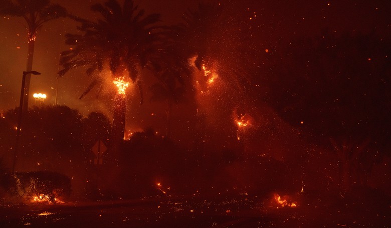 Los Angeles Fire Victims Were Silenced During Peaceful Rose Bowl Parade Protest