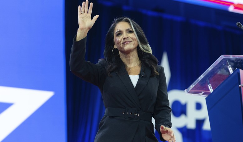 'Audacity Is Off the Charts': Tulsi Gabbard Savages Kamala Harris for Going After JD Vance's Loyalty