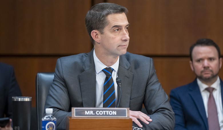 Tom Cotton Defends John Fetterman From Hit Pieces 