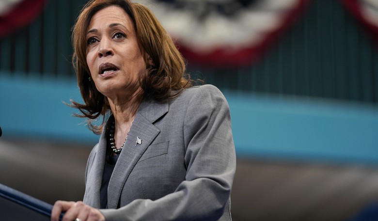 Kamala Harris and the 'Flashy Thing'
