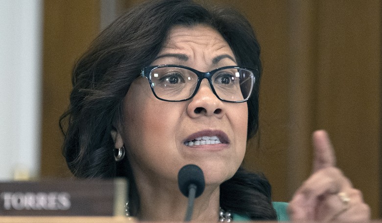 Democratic Rep. Goes on Unhinged Rant Against Trump, Elon Musk
