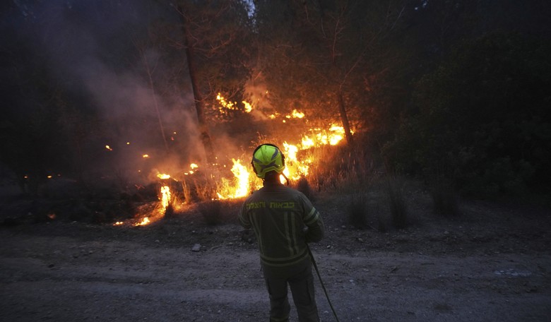 Destroying Roadless Protections Causes Waste and Bureaucracy