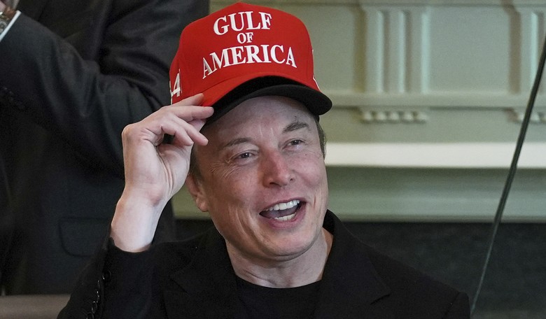 New Poll: Democrats Want to Jail Elon Musk for Fixing Government