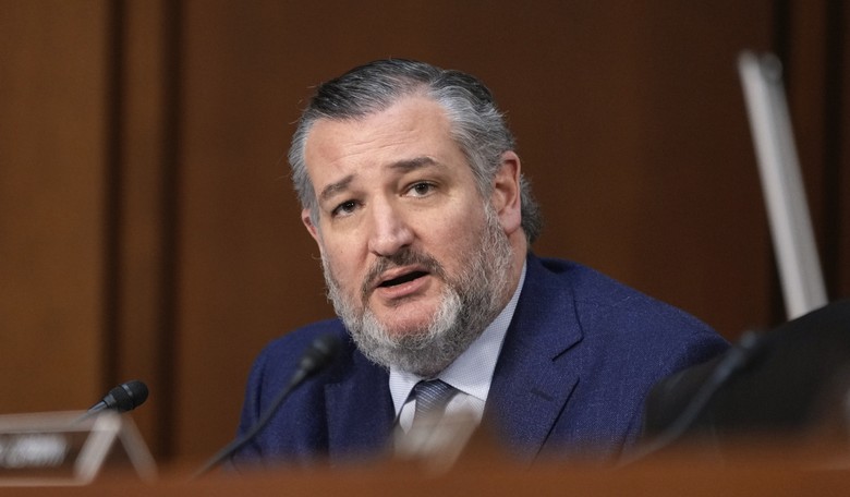 Ted Cruz Has a Message for Trump on the LA Riots: 'Follow the Money' 