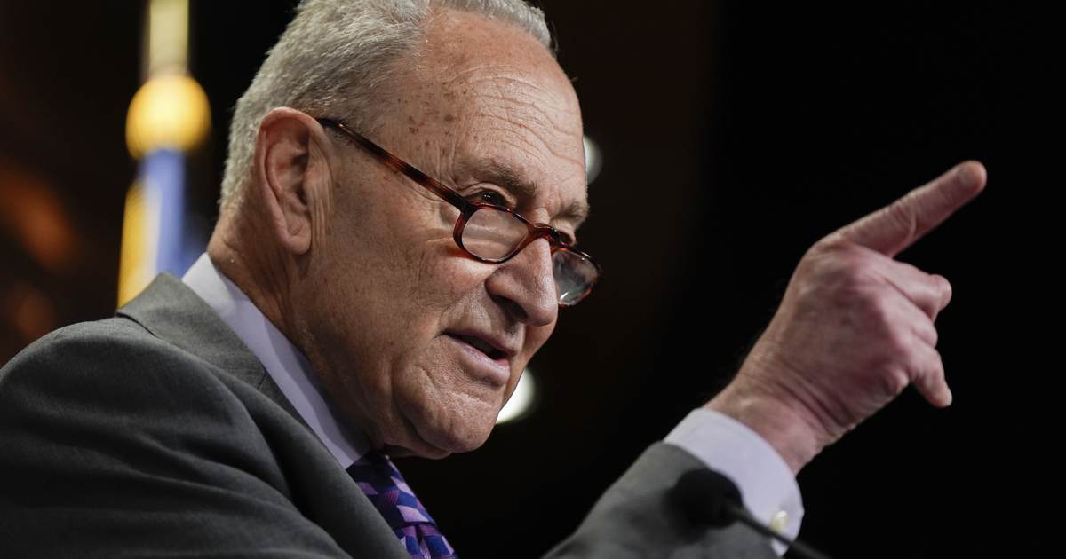 Chuck Schumer Built the Big Tent . The Socialists Are Changing the Locks .