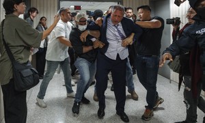 Dem House Nominee Mercilessly Mocked for Staging Olive Harvest Arrest — 'Virgin or Extra Virgin?'