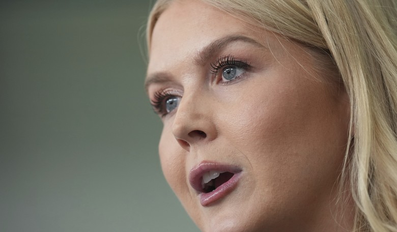 Karoline Leavitt Should Be Arrested for Brutalizing This Clueless Reporter on Live TV