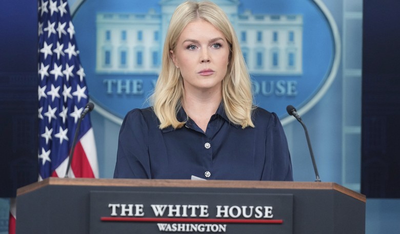 'You're Kidding': Receipts Dropped After 'Reporter' Asks Karoline Leavitt 'Dumbest Question' About Trump