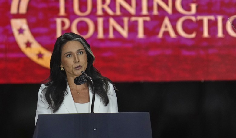 Tulsi Gabbard Reveals the Greatest Threat to Freedom in the US