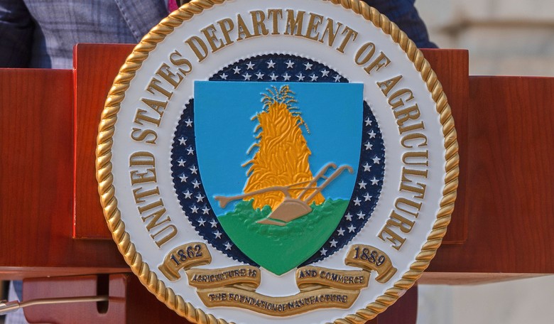 Thank You, Chuck Schumer: USDA Says SNAP Benefits Will Run Out, With No Emergency Fund to Pull From