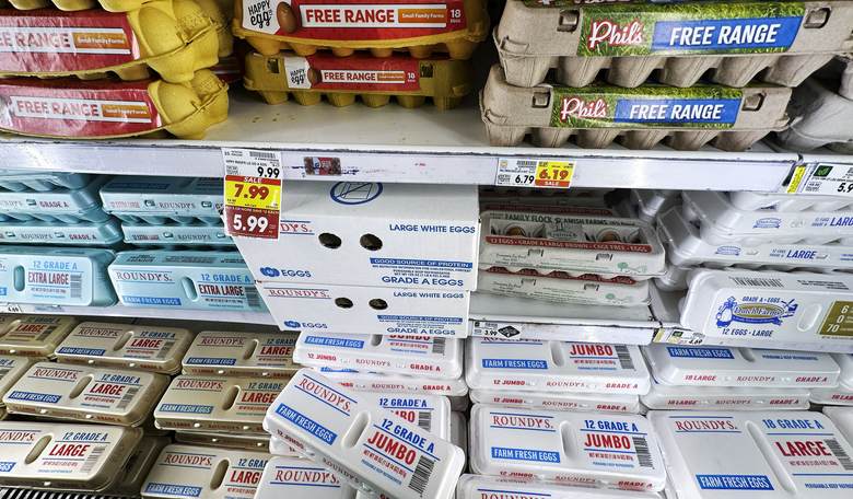 If You Want to See the Death of Legacy Media, Read This CNN Piece on Egg Prices