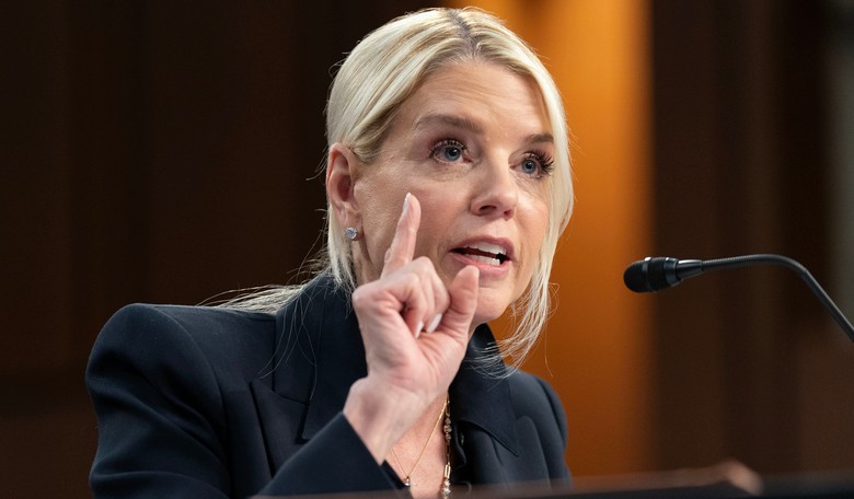 Let's Break Down What Happened With the Bondi Subpoena This Week