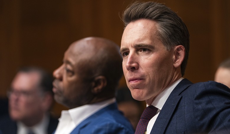 Josh Hawley Eviscerates Former Pardon Lawyer for Trying to Get Racist Mass Shooter Off the Hook