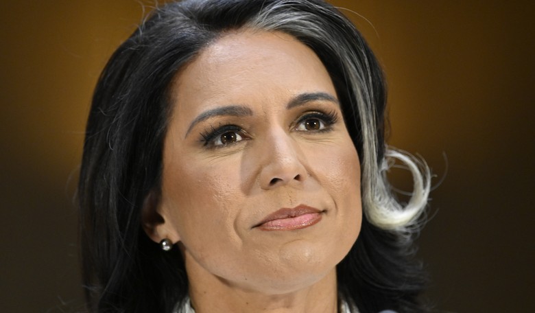 This Dem Senator Was Rather Annoyed Over Tulsi Gabbard's Answer Regarding the FBI's Seizure of GA Ballots