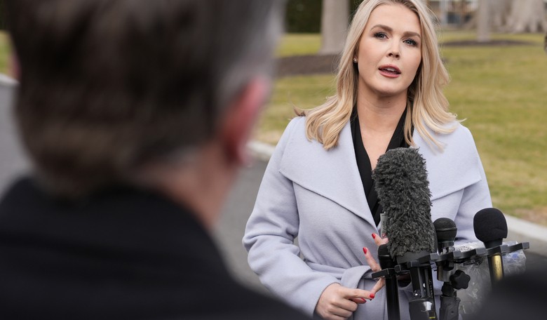 Karoline Leavitt Teases Shocking 'Horrible' Discovery Made by DOGE