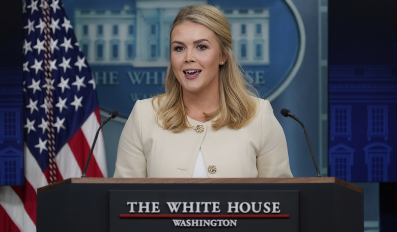 Trump White House Makes Clear Americans Can 'Absolutely' Expect Deportation Flights to Continue