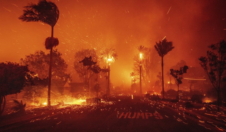 LA Residents Take Action as Wildfires Rage On
