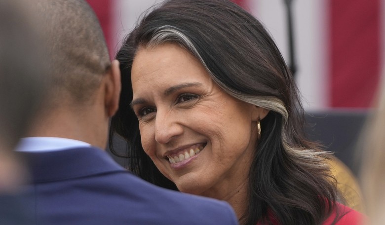 Tulsi Gabbard Is Making Spy Agencies Nervous With This New Team