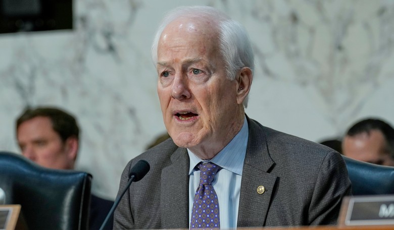 John Cornyn: We Can't Pass the SAVE America Act Because I Want My Break