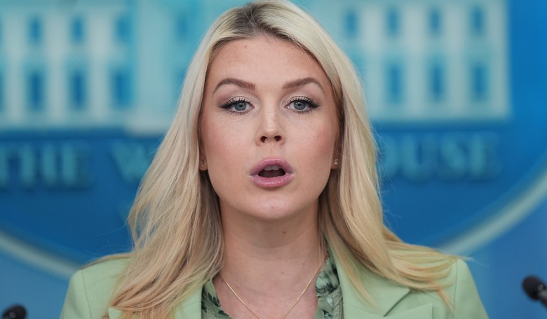 Karoline Leavitt Reminds WH Reporter What a Joke Is When Questioned About Trump's Medical Miracle