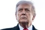 Trump Announces Ceasefire in Russia-Ukraine War
