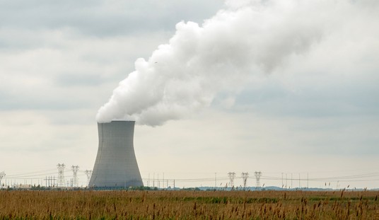 American Nuclear Energy Reaches Milestone Decades in the Making. Is the 'Renaissance' Finally Happening?