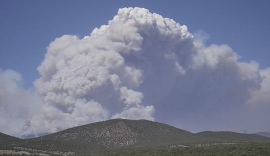 Three Firefighters Killed, Two Injured Battling Colorado-Utah Border Wildfires