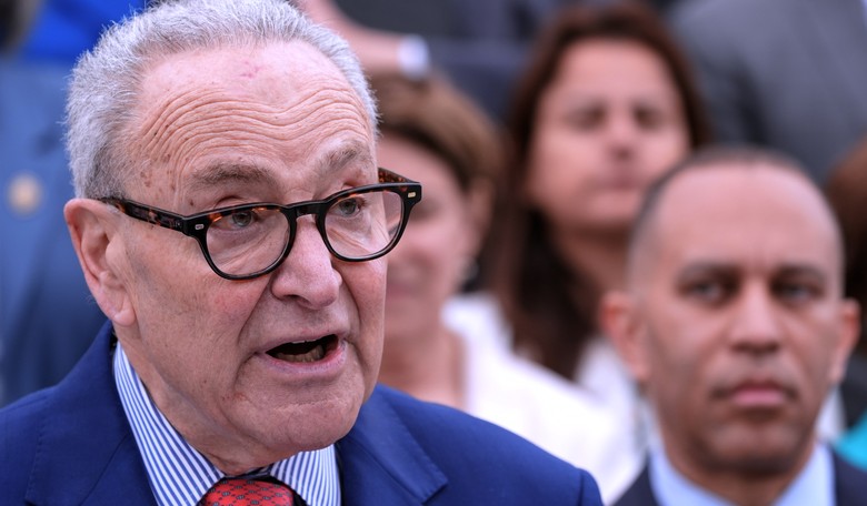 This Is How Chuck Schumer Dismissed the Rise of the DSA