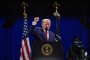 Trump's America 250 Celebration Was One for the History Books