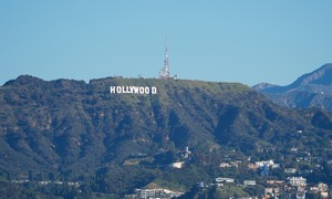 The Essex Files: Hollywood’s Moral Decay — Why 180 Jewish Entertainers Are Shielding Mark Ruffalo