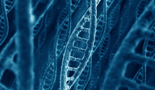 Evidence of Design at the Frontier of Biology