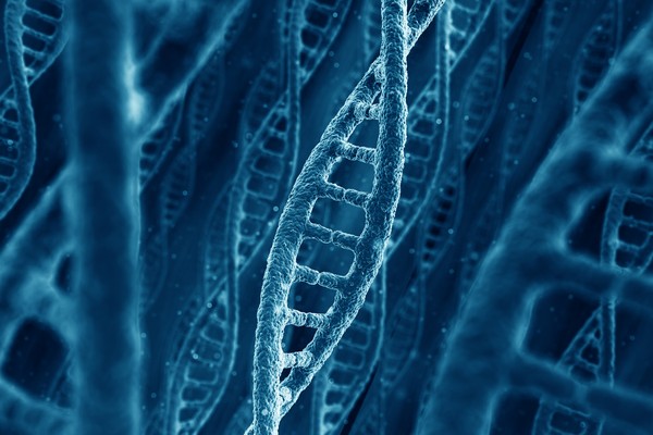 Evidence of Design at the Frontier of Biology