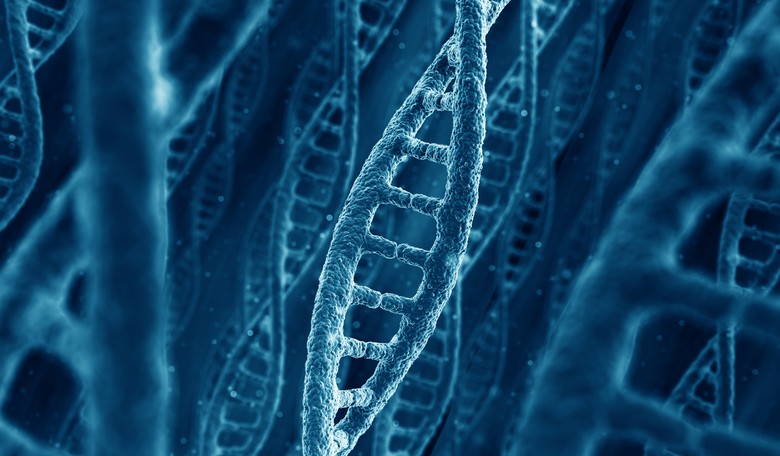 Soldiers Now Training to Fight Through Bioweapon Attacks