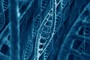 Evidence of Design at the Frontier of Biology