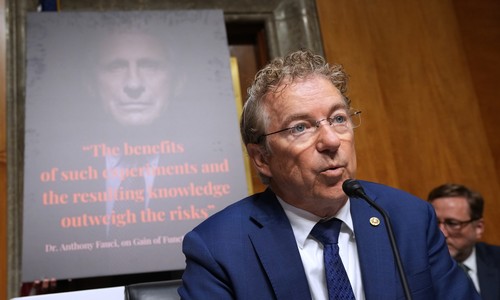 Rand Paul Reveals What Shocked Him About Anthony Fauci's Testimony. This Can't Be Real.