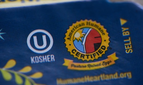 Kosher Capitalism