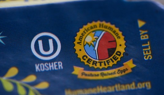 Kosher Capitalism