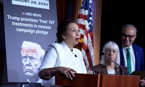 Schumer Thanks Expletive-Using Senator for Her Beautiful Words