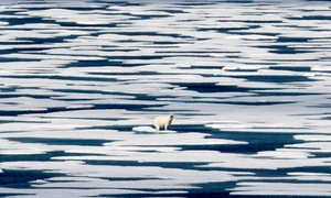 Climate Crisis
